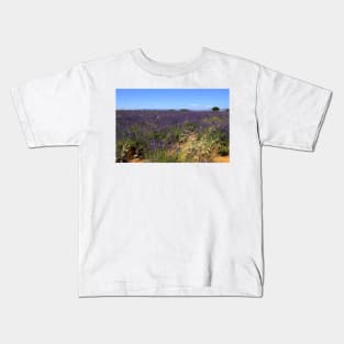 Lavander in Provence Kids T-Shirt